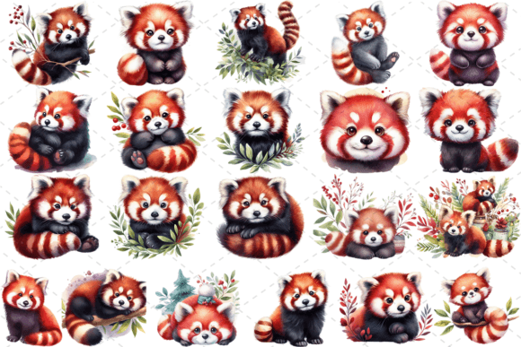 21 Watercolor Red Panda Clipart Bundle: Illustrations Review