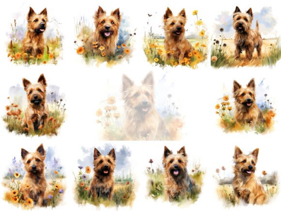 Australian Terrier Watercolor Clipart: Brand Illustrations