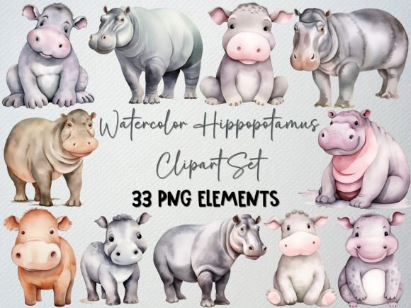 Baby Hippo Illustrations: Watercolor Clipart Review