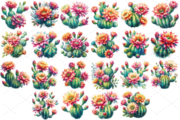 Cactus Bloom Illustrations: Watercolor Clipart Review