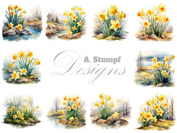 Daffodils Watercolor Clipart: Editorial Illustrations Review