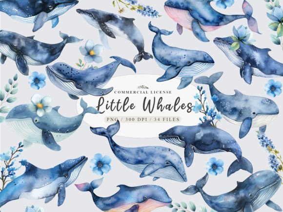 Ocean Whale Watercolor Clipart: Illustrations for Digital Sales