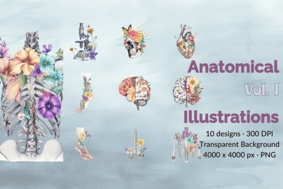 Vol 1 Floral Anatomy Art Watercolor Set: Illustrations Review
