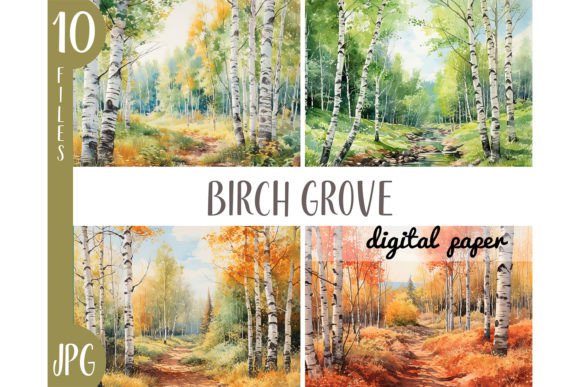 Watercolor Birch Grove: Forest Illustrations for Branding
