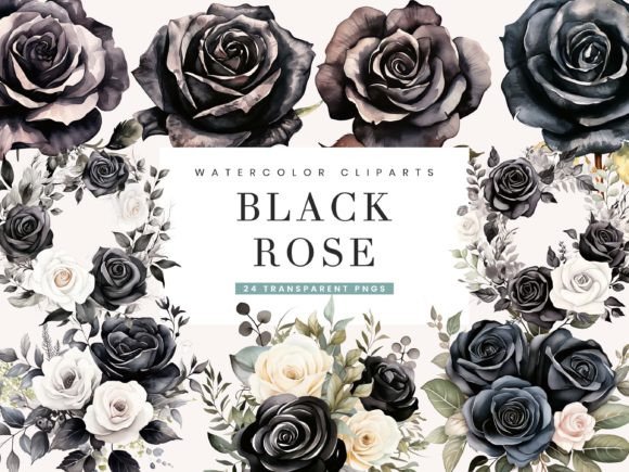 Watercolor Black Rose Clipart Bundle Illustrations