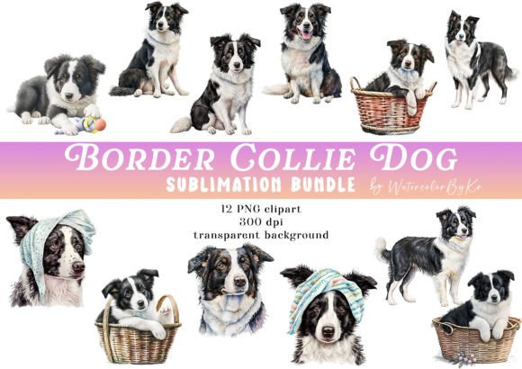 Watercolor Border Collie Dog Bundle Review