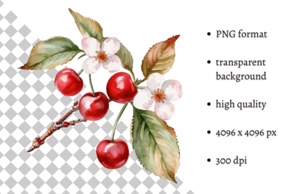 Watercolor Cherry Treats PNG Clipart Illustrations Review