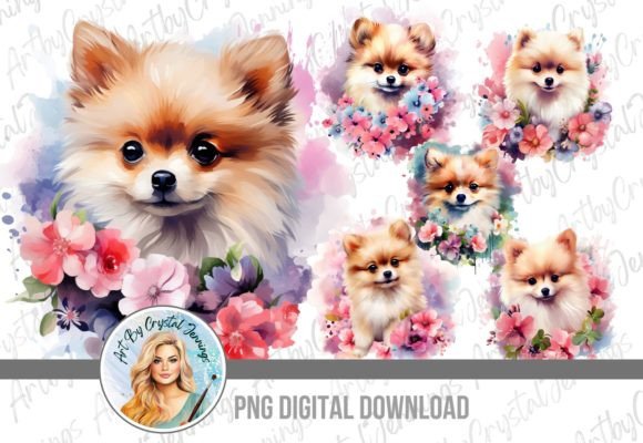 Watercolor Floral Pomeranian Dog PNG Illustrations