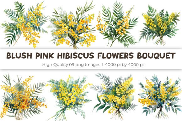 Watercolor Mimosa Flowers Bouquet Illustrations Review