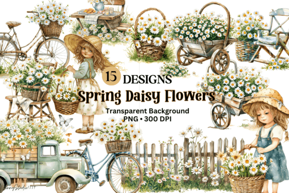 Watercolor Spring Daisy Flowers Clipart Illustrations