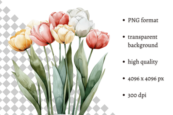 Watercolor Spring Flowers PNG Clipart Illustrations