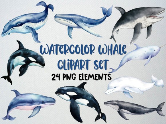 Watercolor Whale Clipart Set for Embroidery