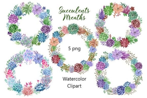 Watercolor Wreath of Succulents Illustrations Review